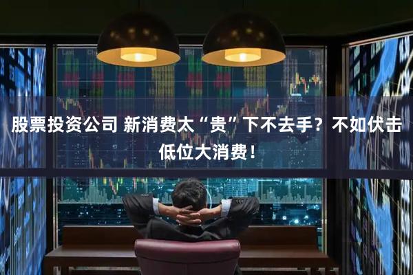 股票投资公司 新消费太“贵”下不去手？不如伏击低位大消费！
