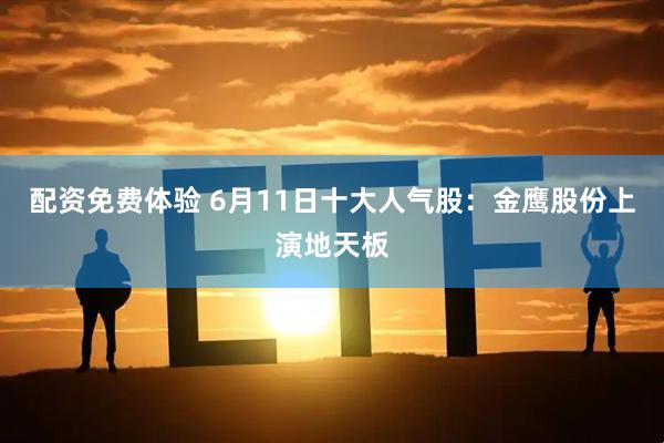 配资免费体验 6月11日十大人气股：金鹰股份上演地天板
