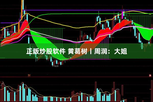 正版炒股软件 黄葛树丨周润：大姐
